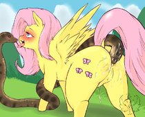 Fluttershy My_Little_Pony_Friendship_Is_Magic // 1240x1000 // 762.6KB // png