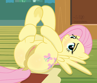 Fluttershy My_Little_Pony_Friendship_Is_Magic shutterflyeqd // 3464x2960 // 1.2MB // png