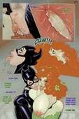 Batman_(Series) Catwoman DC_Comics MeinFischer Poison_Ivy // 2731x4096 // 966.2KB // jpg
