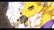 Digimon Renamon // 1920x1080 // 322.7KB // jpg