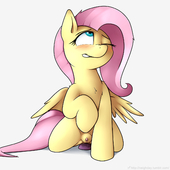 Fluttershy My_Little_Pony_Friendship_Is_Magic Neighday // 1280x1280 // 590.4KB // png