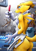 Digimon Renamon // 1050x1500 // 269.8KB // jpg