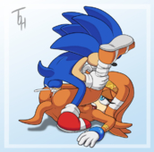 Adventures_of_Sonic_the_Hedgehog Sonic_The_Hedgehog Tikal_the_Echidna // 676x668 // 228.1KB // png