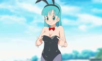 Animated Bulma_Brief Dragon_Ball_Z // 800x480 // 758.1KB // webm