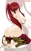 Dkir Erza_Scarlet Fairy_Tail // 1871x3000 // 1.4MB // jpg