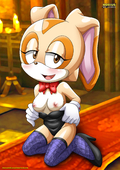 Adventures_of_Sonic_the_Hedgehog Cream_the_Rabbit // 1300x1837 // 765.6KB // jpg