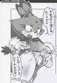 Adventures_of_Sonic_the_Hedgehog Blaze_The_Cat // 553x801 // 125.4KB // jpg