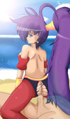 Shantae Shantae_(Game) // 952x1600 // 1.2MB // png