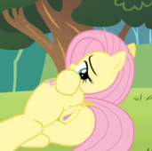 Animated Fluttershy My_Little_Pony_Friendship_Is_Magic shutterflyeqd // 540x536 // 1.4MB // gif