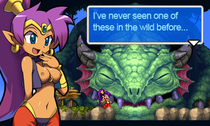 Shantae Shantae_(Game) // 400x240 // 146.5KB // jpg
