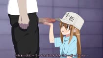 Animated Cells_At_Work Platelet // 1280x720 // 18.3MB // webm
