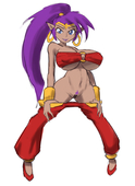 Shantae Shantae_(Game) // 1145x1575 // 332.1KB // jpg