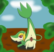 Pokemon Snivy_(Pokémon) Zemata // 1280x1223 // 138.6KB // png