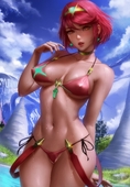 Logan_Cure Pyra Xenoblade_Chronicles_2 // 2708x3900 // 1023.5KB // jpg