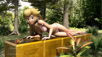 3D DarklordIIID Princess_Peach Super_Mario_Bros // 2560x1440 // 1.6MB // jpg