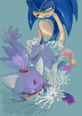 Adventures_of_Sonic_the_Hedgehog Blaze_The_Cat Sonic_The_Hedgehog manaita // 500x700 // 373.9KB // png