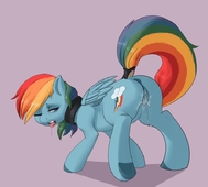 My_Little_Pony_Friendship_Is_Magic Rainbow_Dash // 892x803 // 77.6KB // jpg