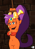 Animated Shantae Shantae_(Game) // 500x694 // 1.1MB // gif