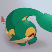 Animated Pokemon Snivy_(Pokémon) // 800x800 // 2.9MB // gif