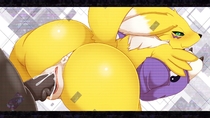 Digimon Renamon // 1920x1080 // 317.0KB // jpg