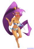 Shantae Shantae_(Game) // 743x1080 // 299.9KB // png