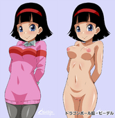 Dragon_Ball_Z Videl // 1172x1200 // 504.1KB // jpg