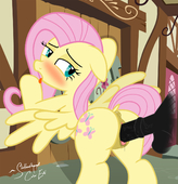 Fluttershy My_Little_Pony_Friendship_Is_Magic shutterflyeqd // 1280x1324 // 507.7KB // png