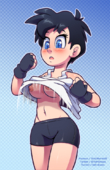 Dragon_Ball_Z TheOtherHalf Videl // 619x955 // 623.3KB // png