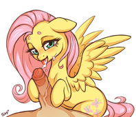 Fluttershy My_Little_Pony_Friendship_Is_Magic saucysorc // 1005x863 // 474.3KB // png