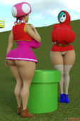 3D Super_Mario_Bros Thefoxxx Toadette shygal // 900x1350 // 444.0KB // jpg