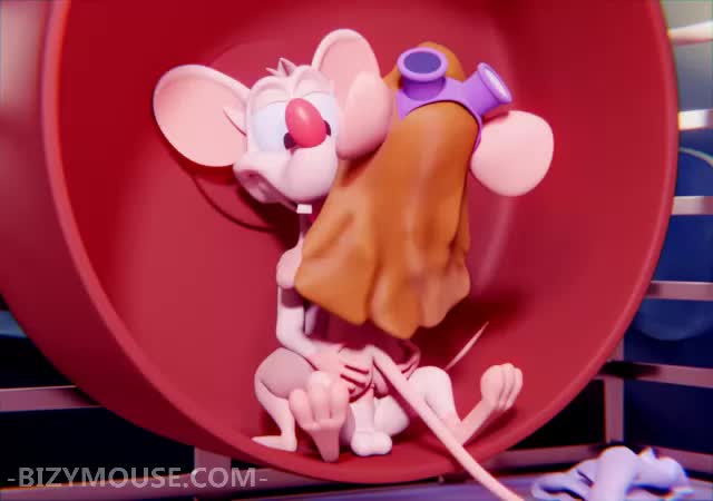 3D Animaniacs Animated Chip_'n_Dale_Rescue_Rangers Crossover Gadget_Hackwrench Pinky Pinky_and_the_Brain // 640x450 // 654.3KB // webm