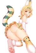 Kemono_Friends Serval // 811x1200 // 404.4KB // jpg