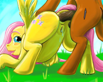 Fluttershy My_Little_Pony_Friendship_Is_Magic // 800x640 // 92.8KB // jpg