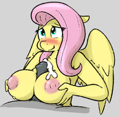 Fluttershy My_Little_Pony_Friendship_Is_Magic // 554x543 // 160.9KB // png