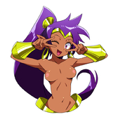 Shantae Shantae_(Game) // 891x900 // 275.8KB // jpg