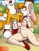 Adventures_of_Sonic_the_Hedgehog Irregular_Fetishes Miles_Prower_(Tails) Vanilla_the_Rabbit // 600x780 // 276.1KB // png