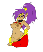 Shantae Shantae_(Game) // 1280x1536 // 380.9KB // png