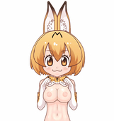 Animated Kemono_Friends Serval // 800x843 // 3.9MB // gif