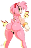 Amy_Rose DredZ Sonic_(Series) // 974x1513 // 116.2KB // jpg