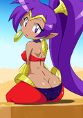 Shantae Shantae_(Game) // 849x1200 // 432.3KB // jpg