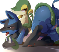 Lucario_(Pokémon) Pokemon Snivy // 1000x875 // 293.3KB // jpg