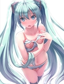 Hatsune_Miku Vocaloid // 1028x1355 // 144.4KB // jpg