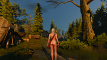 3D Cirilla_Fiona_Elen_Riannon The_Witcher The_Witcher_3:_Wild_Hunt XPS // 1280x720 // 1.3MB // png