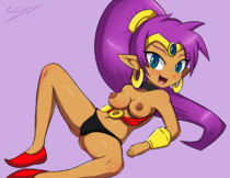 Shantae Shantae_(Game) // 1872x1440 // 801.3KB // png