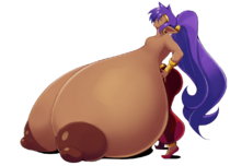 Shantae Shantae_(Game) // 1227x888 // 420.6KB // png