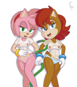 Adventures_of_Sonic_the_Hedgehog Amy_Rose Sally_Acorn TheOtherHalf // 1124x1268 // 647.8KB // png