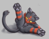 Litten_(Pokémon) Pokemon // 1072x858 // 883.7KB // png