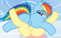 Fluttershy My_Little_Pony_Friendship_Is_Magic Rainbow_Dash shutterflyeqd // 1280x791 // 268.2KB // png