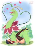 Meganium_(Pokémon) Pokemon ZHENG // 707x1000 // 434.4KB // png