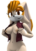3D Adventures_of_Sonic_the_Hedgehog Vanilla_the_Rabbit // 896x1280 // 104.2KB // png